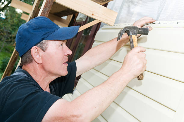 Best Siding Removal and Disposal  in Walton, KY